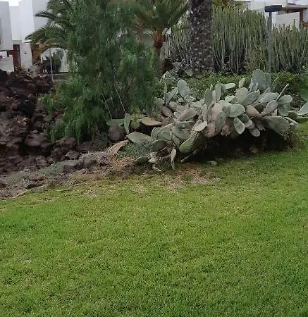Primavera Gelijkvloers Met Ruim Terras En Wifi Appartement